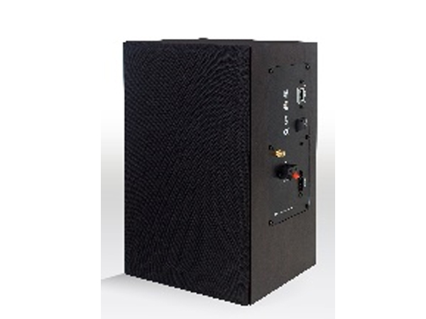 简易款IP音箱